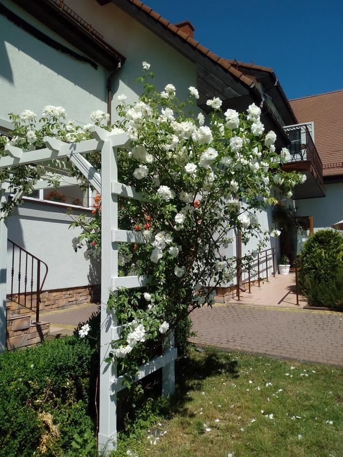 Bed and Breakfast Artemis Dramburg Exterior foto
